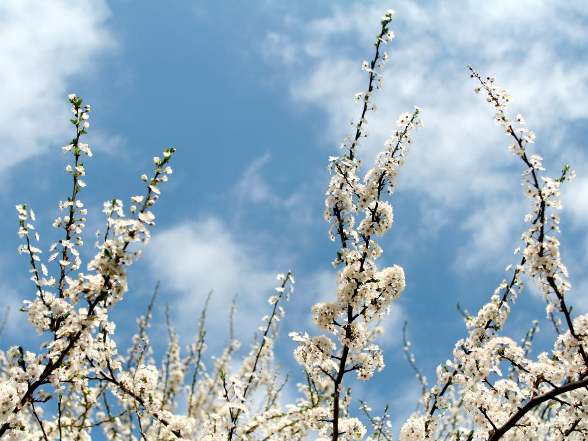 Die Familie ist die Basis des ewigen&nbsp;Glücks