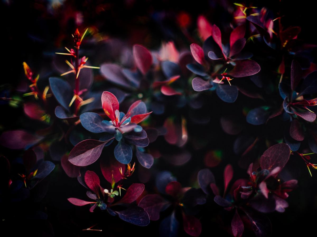 Die Familie ist das Lehrbuch der Liebe, durch das wir uns mit der universellen Liebe verbinden&nbsp;können