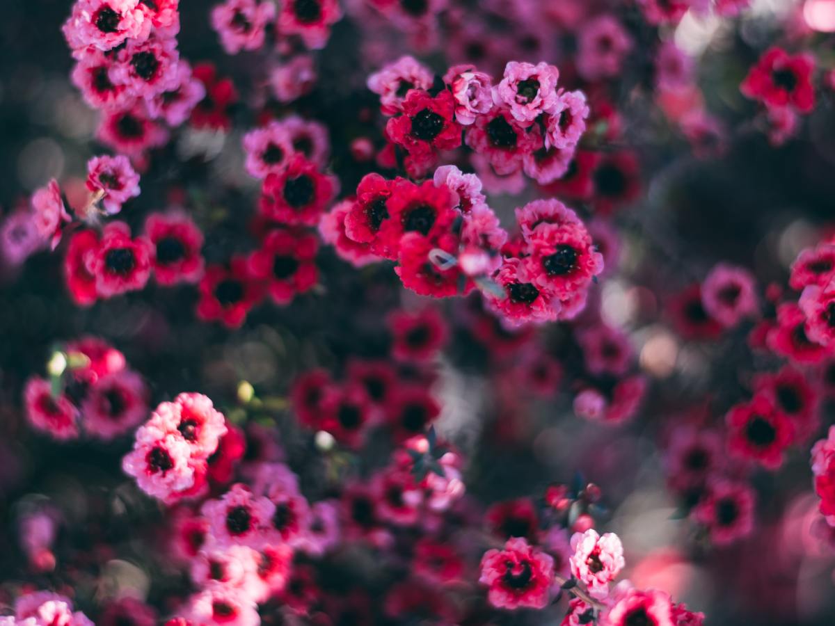 Der Grund, warum wir Brüder und Schwestern&nbsp;brauchen