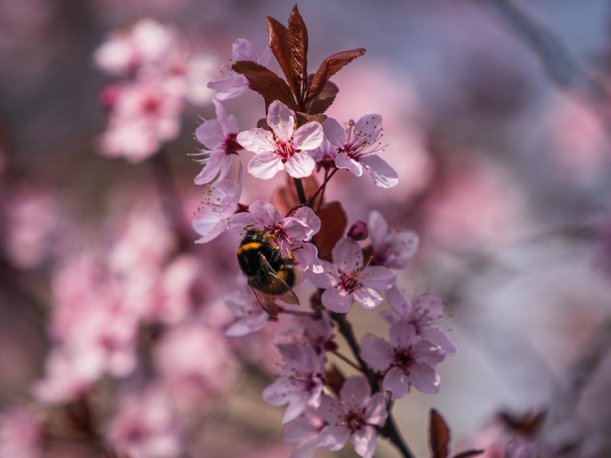 Sogar Gott gehorcht der Liebe&nbsp;absolut