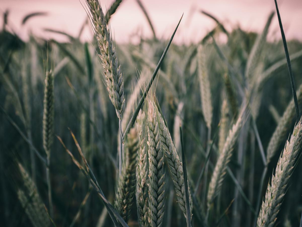 Unser physisches Leben auf der Erde wird in allen Einzelheiten&nbsp;aufgezeichnet