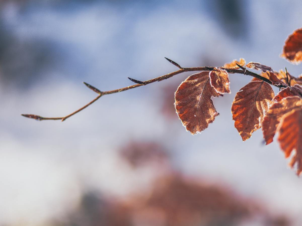 Männer und Frauen brauchen einander&nbsp;absolut