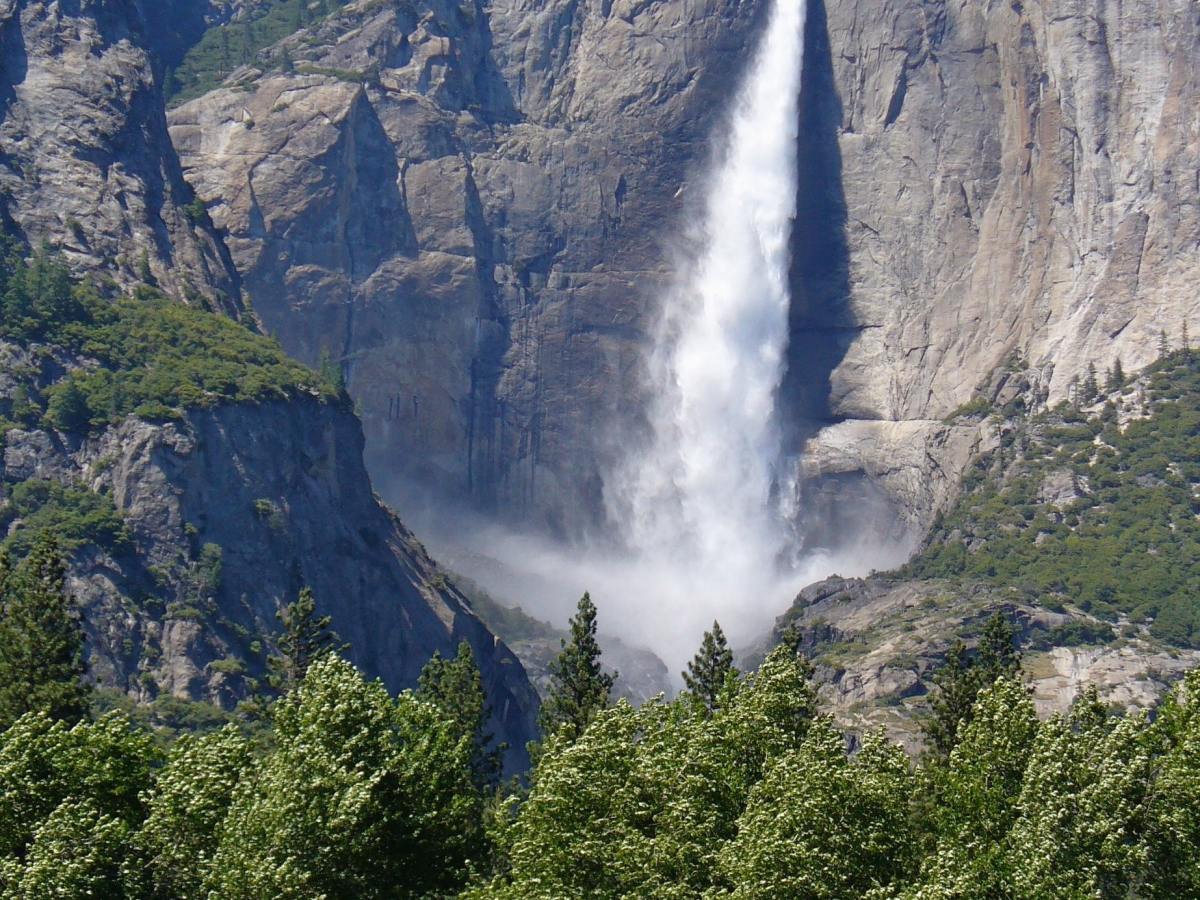 Die Familie ist der Übungsplatz des&nbsp;Herzens