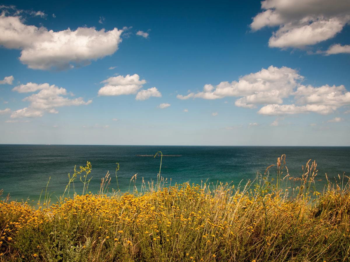 Liebe unter Geschwistern