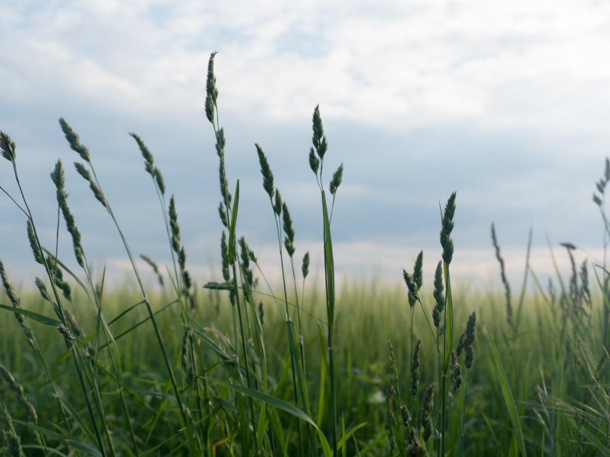Liebt die Natur und liebt die&nbsp;Menschen