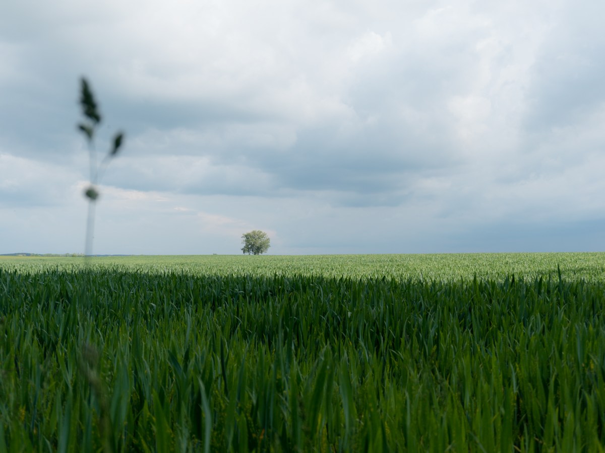 Die gute Geistige Welt und die böse Geistige&nbsp;Welt