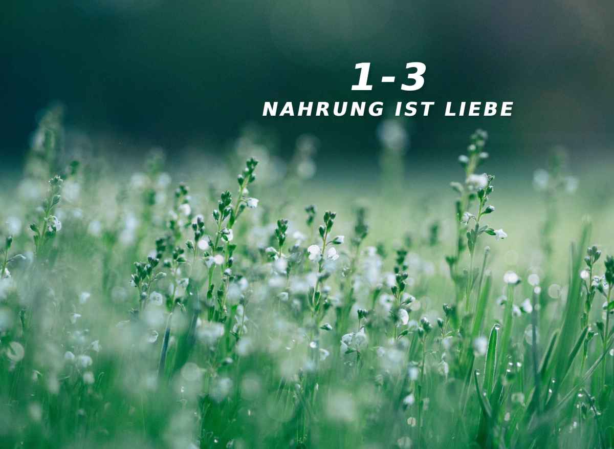 Ein Freund für&nbsp;alle