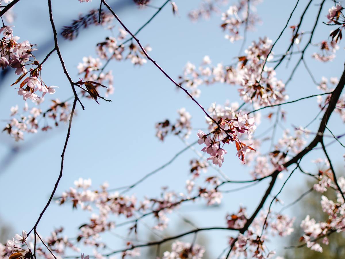 Der Zweck der Erschaffung von Adam und&nbsp;Eva
