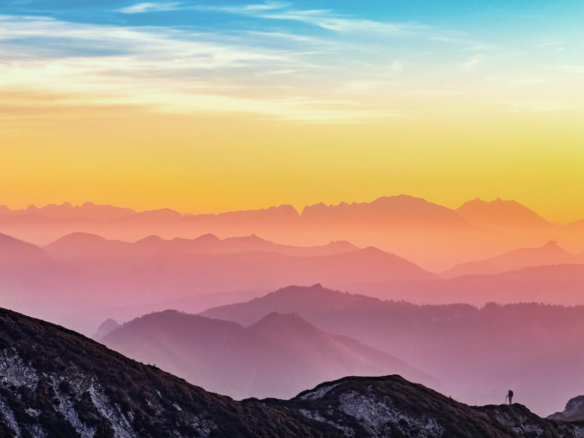 Alle Wesen werden durch die Liebe&nbsp;vervollkommnet