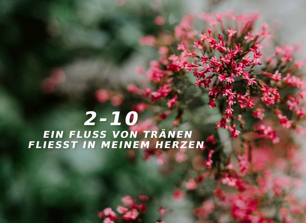 Ein Reiskorn ist größer als die&nbsp;Erde