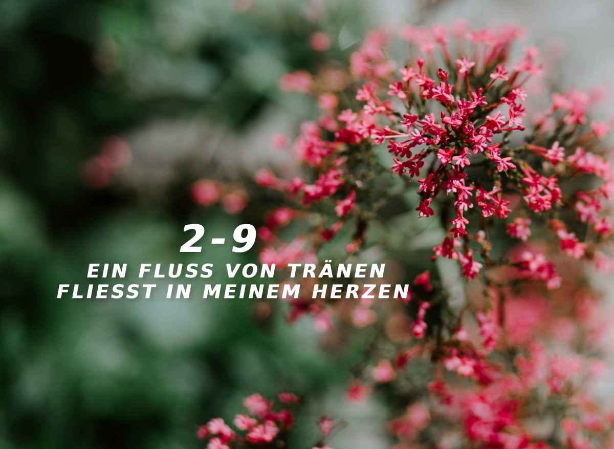 Ein Befehl, dem gehorcht werden&nbsp;muss