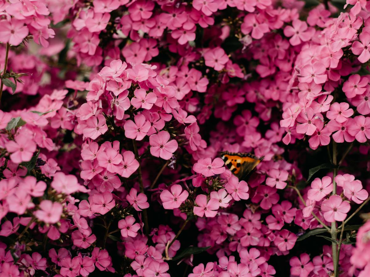 Menschliche Beziehungen in der Geistigen&nbsp;Welt