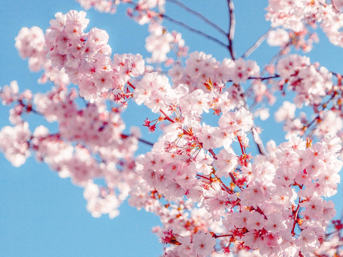 Wir sollten während unseres irdischen Lebens einen liebevollen Charakter&nbsp;entwickeln