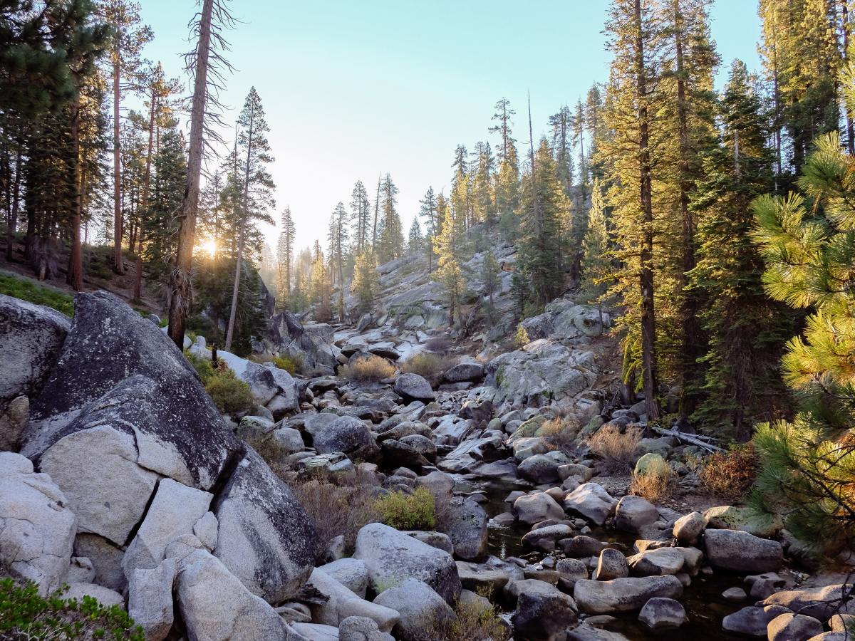 Die Arbeit, die wir in der Geistigen Welt zu bewältigen&nbsp;haben
