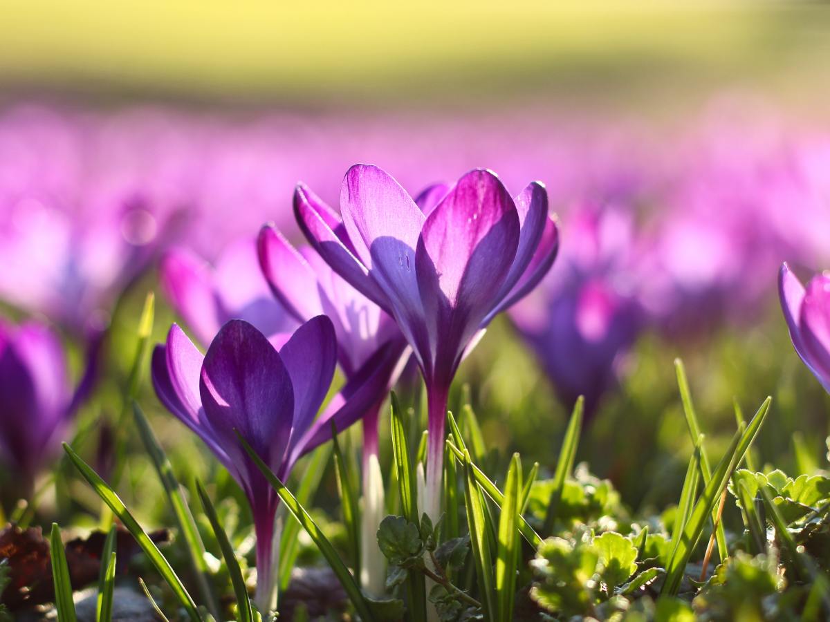 Eltern sind uns näher als&nbsp;Freunde